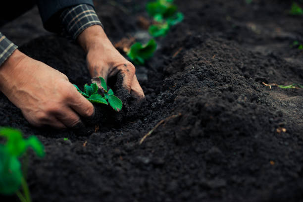“1인 농업 창업 준비일지 29편 - 텃밭에서 키운 자존감 – 아이들이 달라진 순간들”