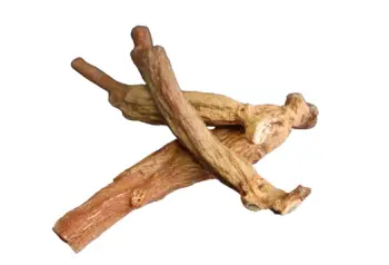 홍삼 효능 및 영양성분, 주의점