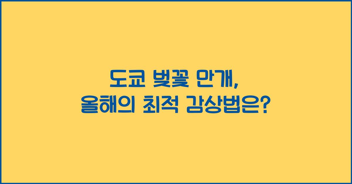 도쿄 벚꽃 만개