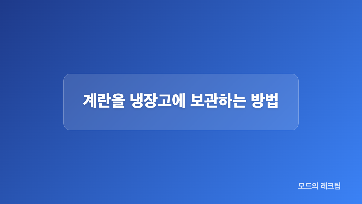날계란과 삶은 계란은 보관 기준이 달라요