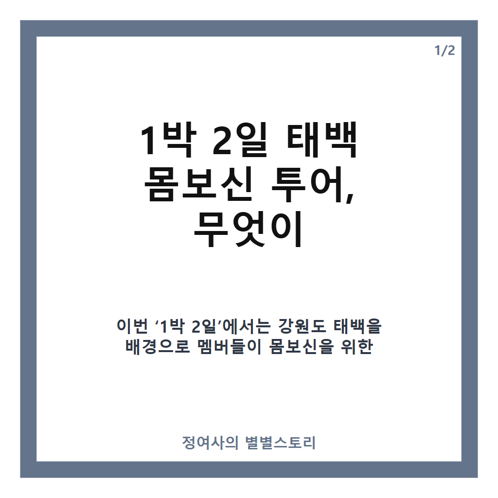 박 2일 태백 몸보신 투어부터 댄스 대결까지 주요 장면 총정리 카드뉴스 1