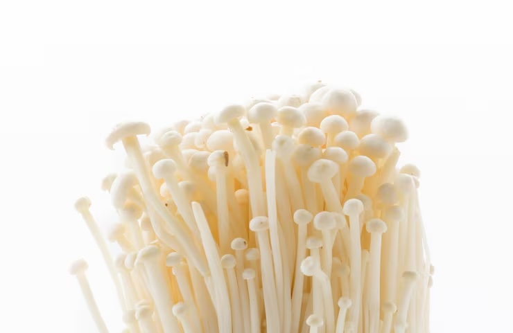 팽이버섯 효능