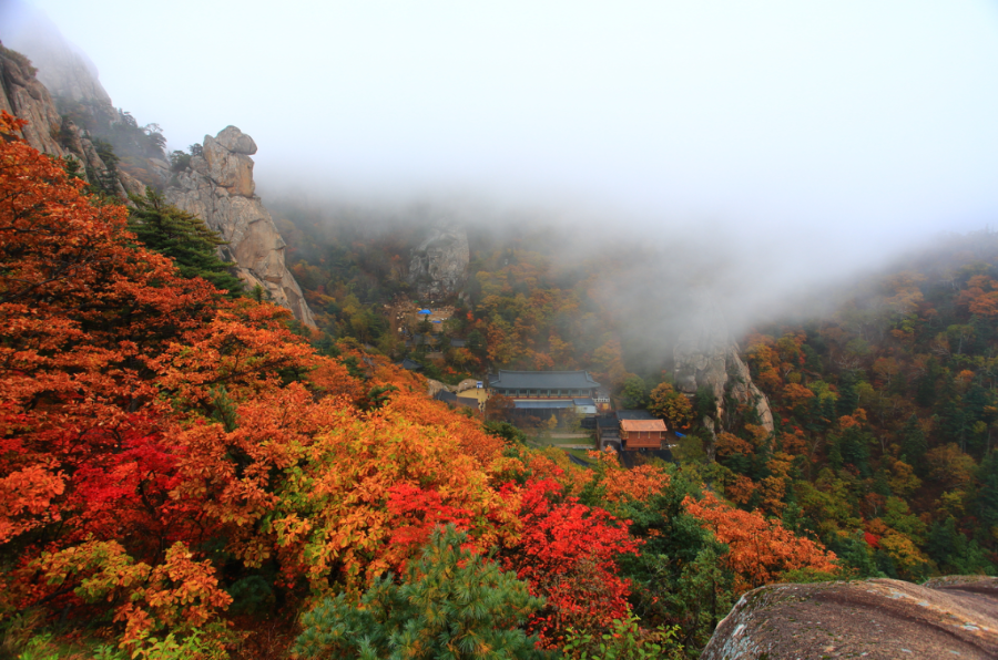 설악산 단풍 절경
