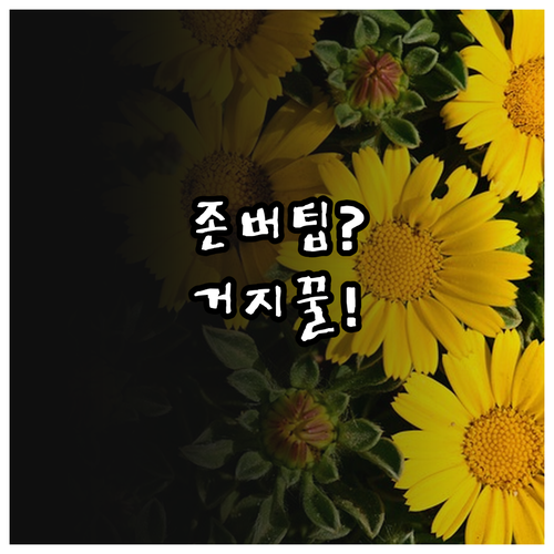 점심값 절약하는 거지맵 사용법과 팁..