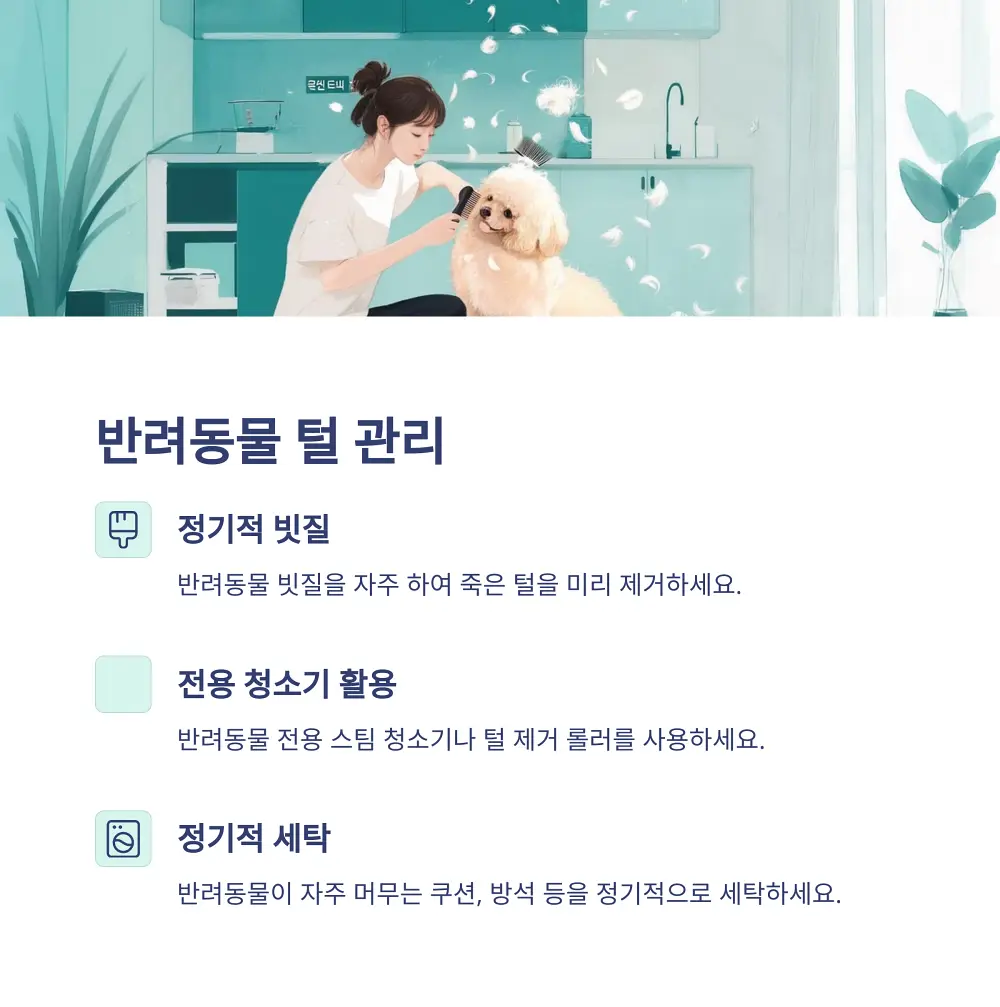 실내공기를 관리하는 법 소개