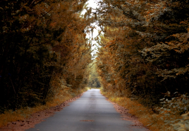 가을여행/11월/제주/감성/여행지