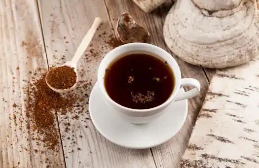 차가버섯 효능 및 부작용 섭취시 주의점