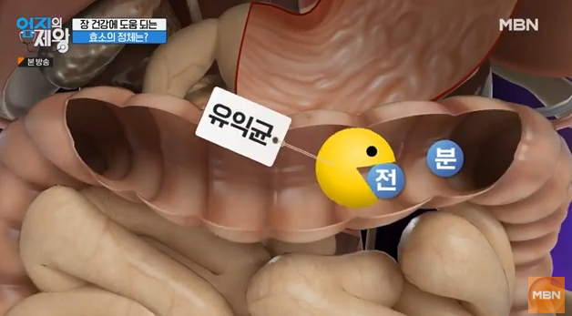 카무트, 카무트 효소