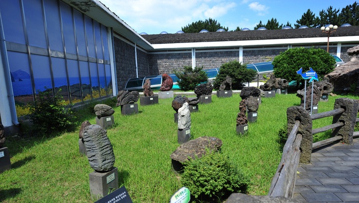 2026년 서귀포자연사박물관 완벽 가이드: 제주 가족여행 필수 코스로 떠오른 숨은 명소