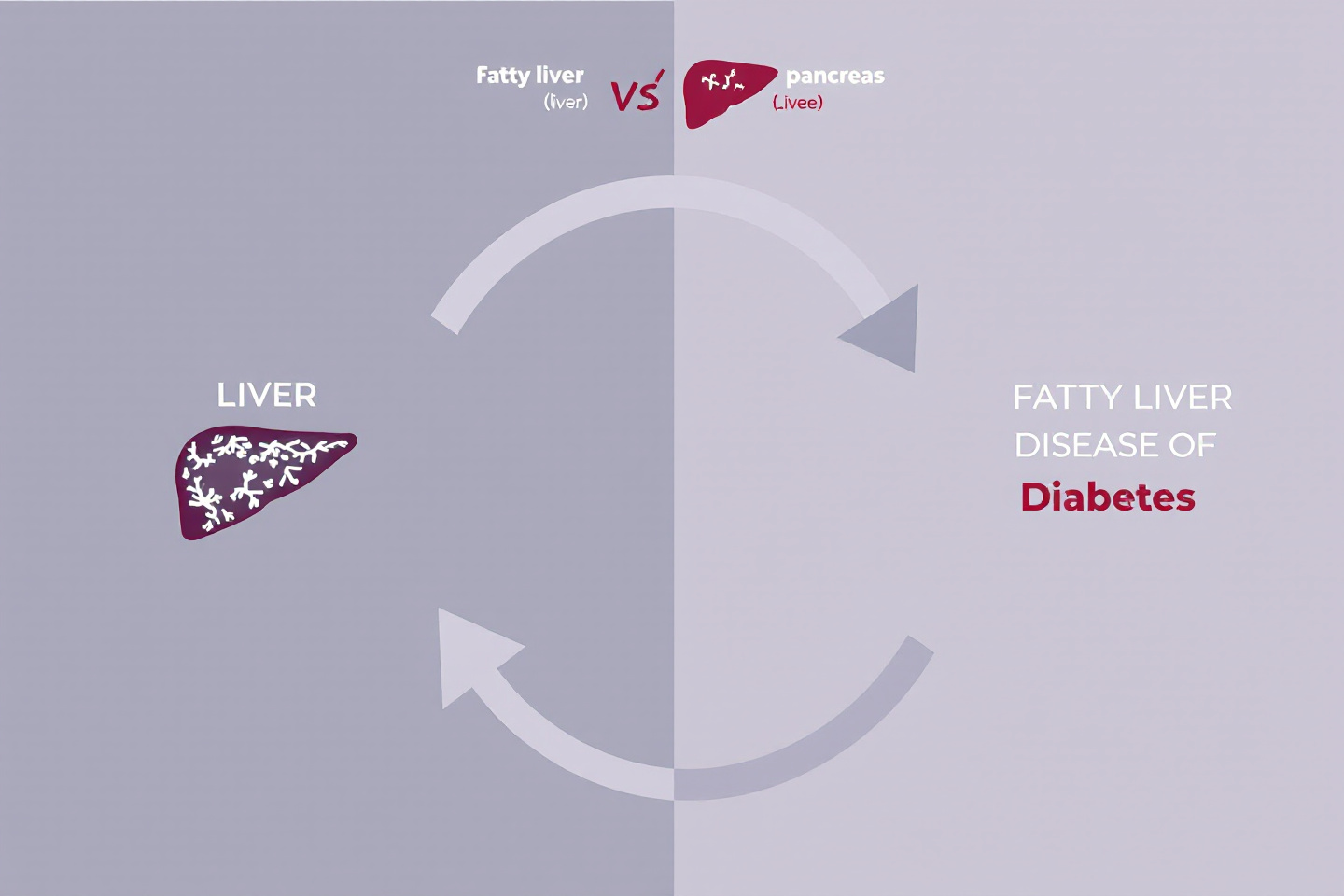 "지방간과 당뇨병의 상호작용을 순환구조로 표현한 인포그래픽"