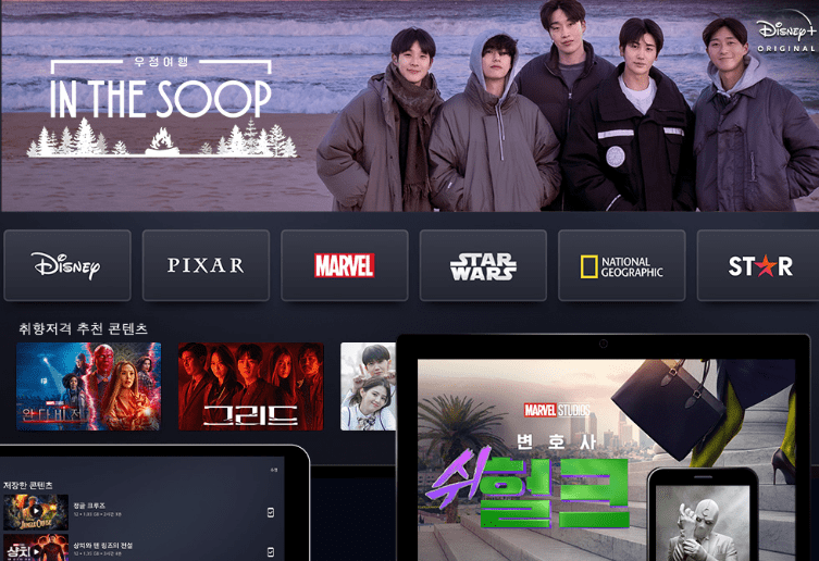 디즈니플러스 가격