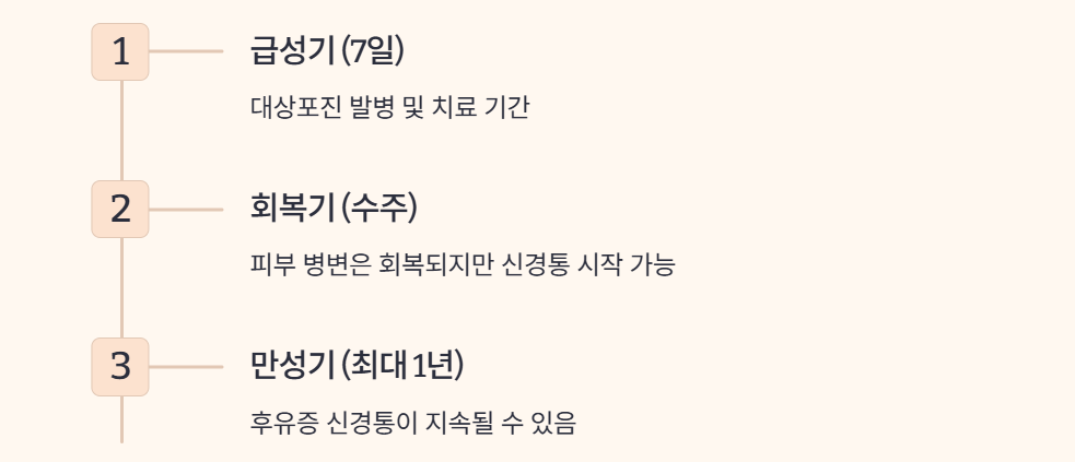 성인 예방접종