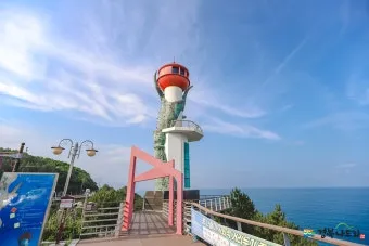 영천 가볼만한곳 베스트10 기억에 남을 멋진 명소 추천_7