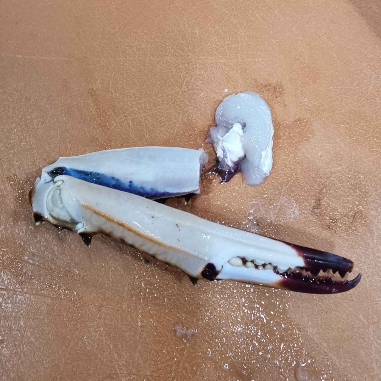 꽃게 다리살 발라내는 법