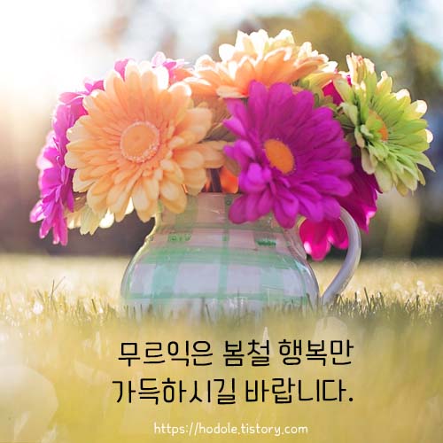 무르익은-봄