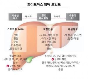 글루타치온 효과