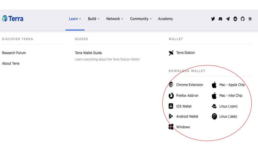 테라 지갑 다운로드-이미지