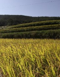 완도여객선터미널 제주 배편 예약과 시간표 및 운임요금 및 주차요금 관련사진