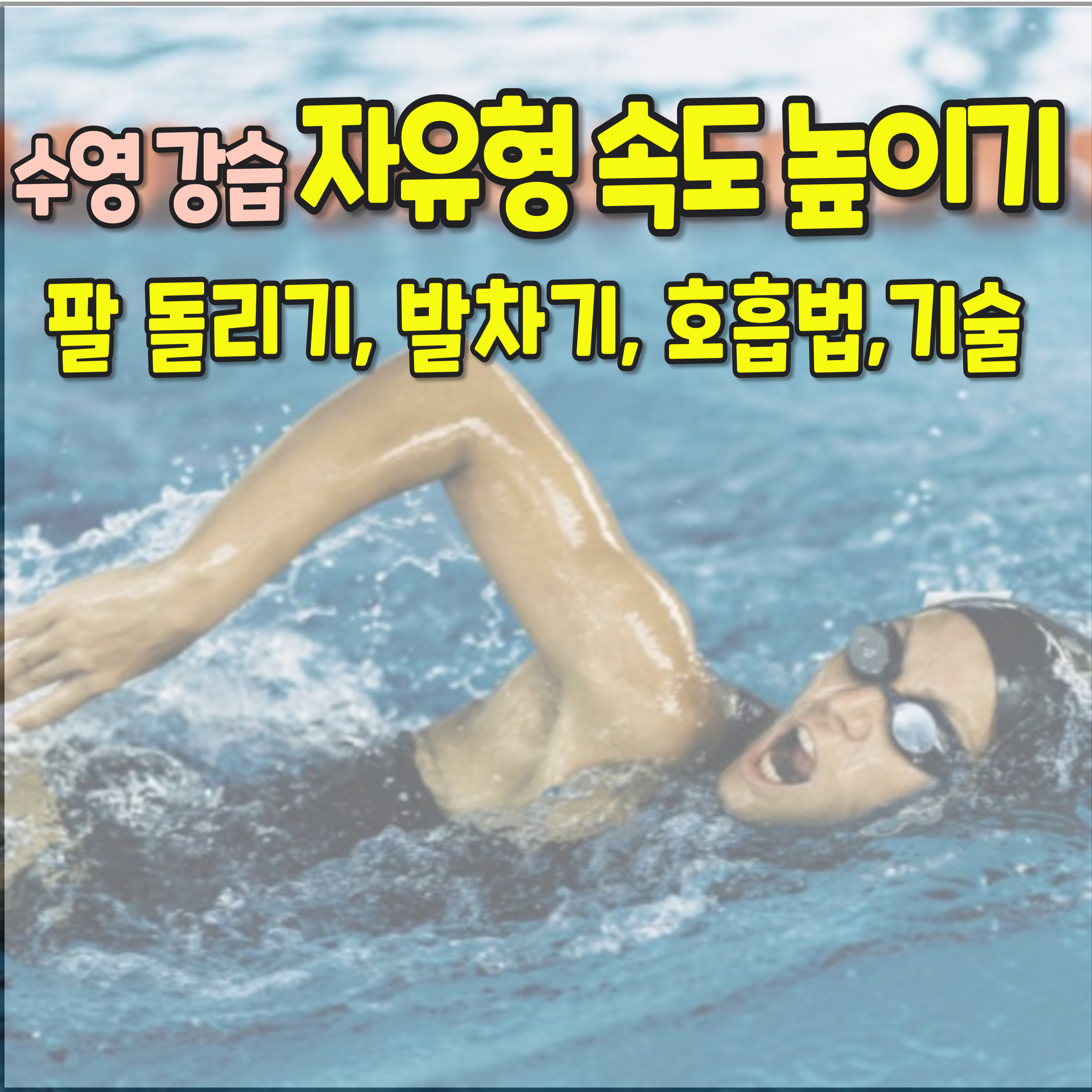 수영 강습-자유형-1