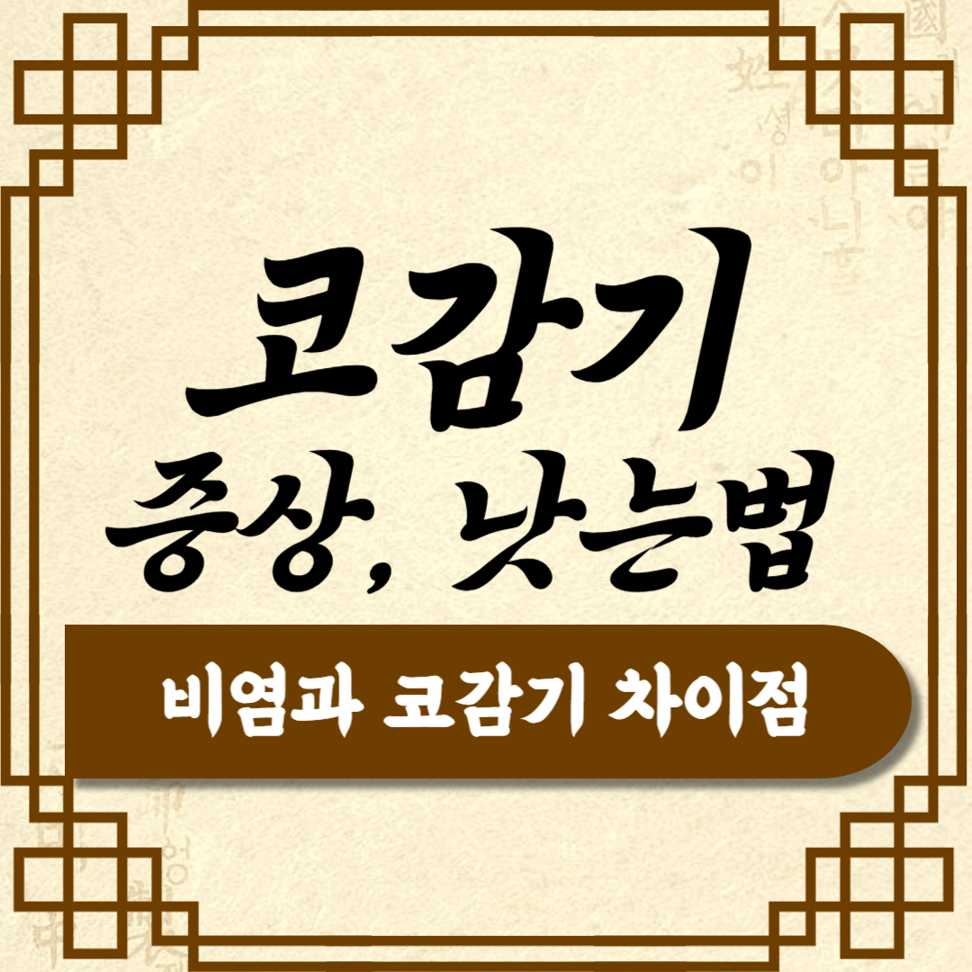 비염과 코감기의 차이점 비염에 좋은 음식들