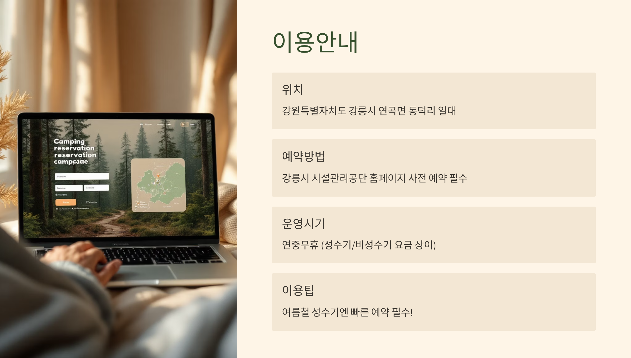 🌲 강릉 솔향기캠핑장, 소나무 숲 속에서 누리는 힐링 캠핑의 정석