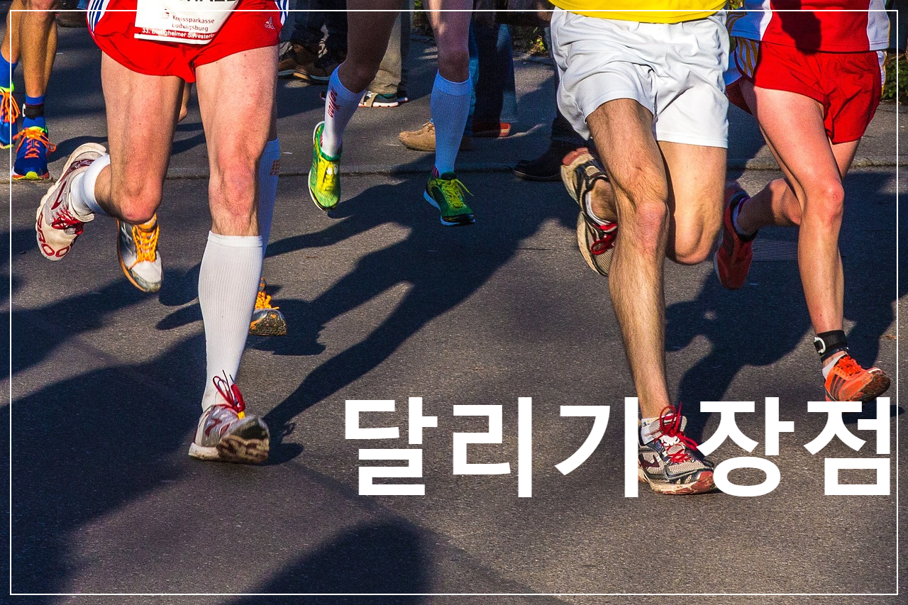달리기사진