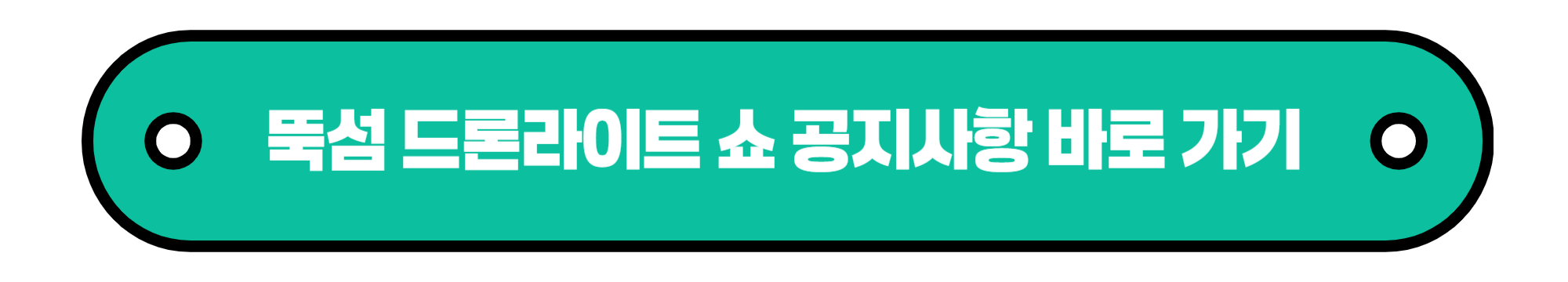 뚝섬 드론라이트 쇼 공지사항