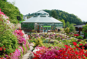 국내 여행지 추천 가평 가볼 만한 곳