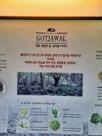 에코랜드 곶차왈 설명