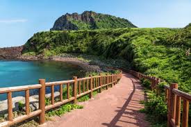 제주도 산책길 이미지