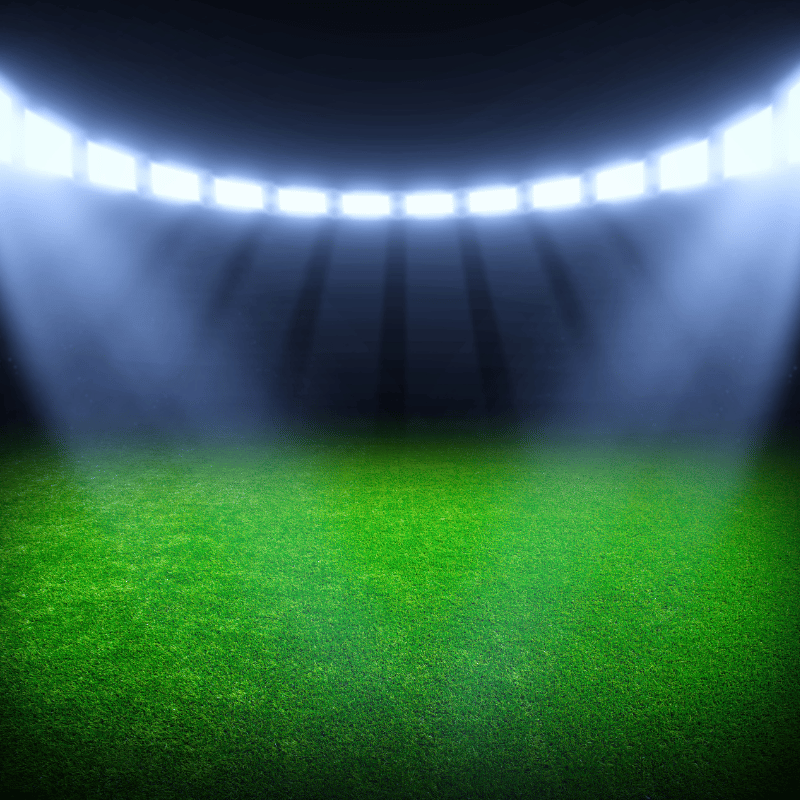 슬램덩크 페스티벌