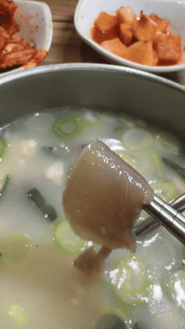 강릉 광덕식당 소순이 국밥과 고기 건더기를 들어올린 모습 GIF