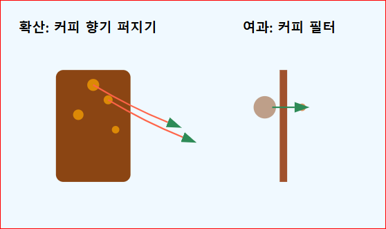 확산과 여과