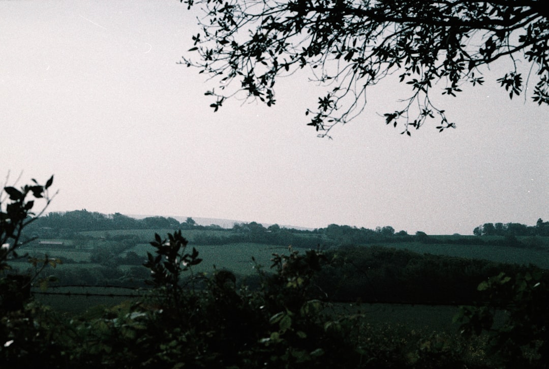 'Film'