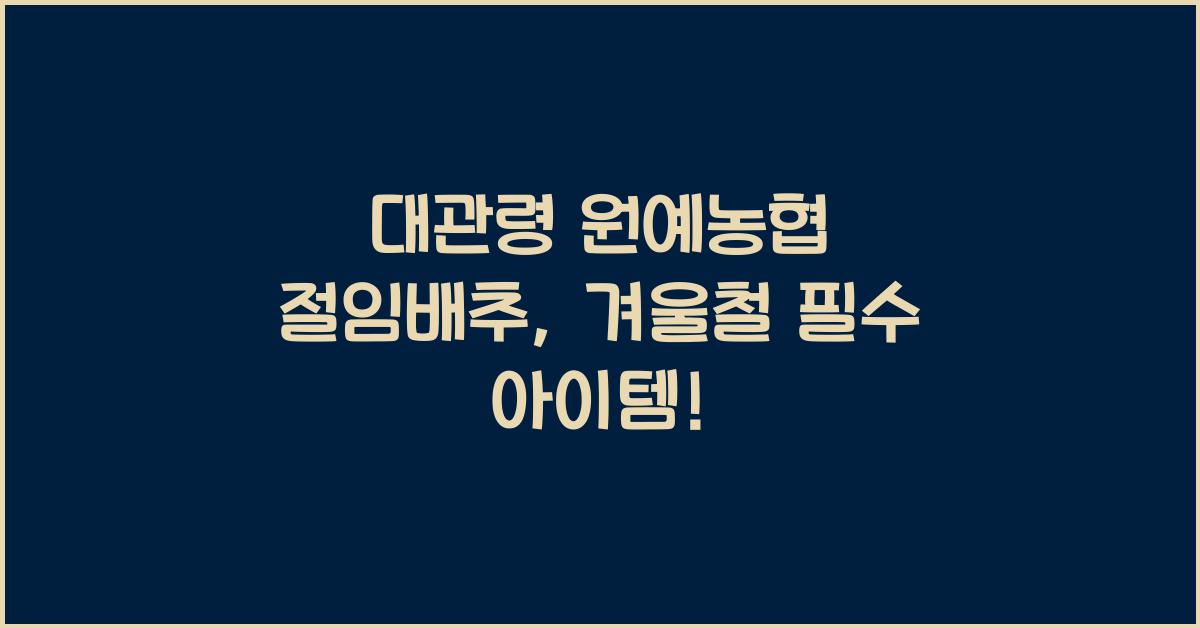 대관령 원예농협 절임배추