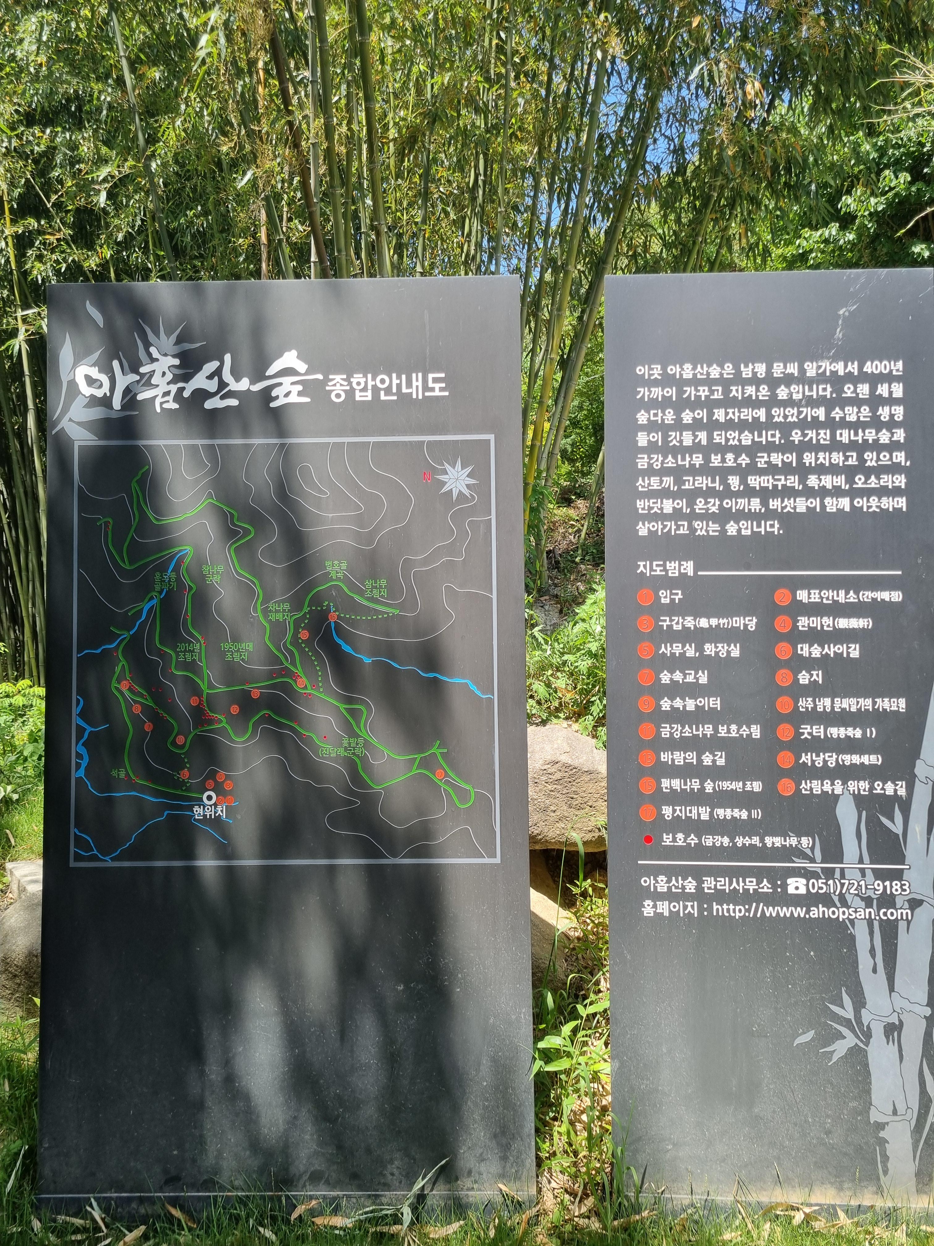 아홉산 숲