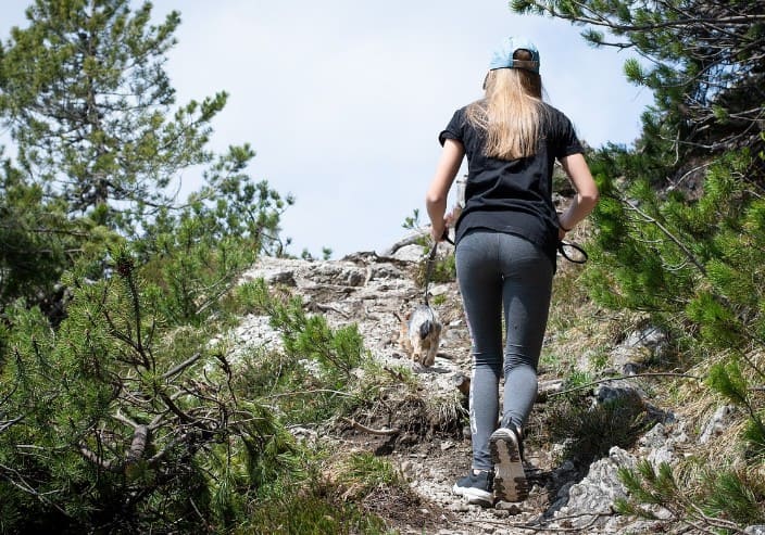 Hike, Nature, Outdoors