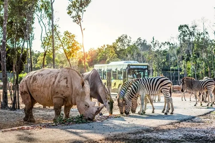 푸꾸옥 빈펄 사파리와 주키퍼