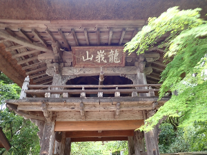 유후인 여행 추천 부산지