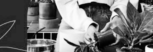 물이 부족하면 어떡하죠?