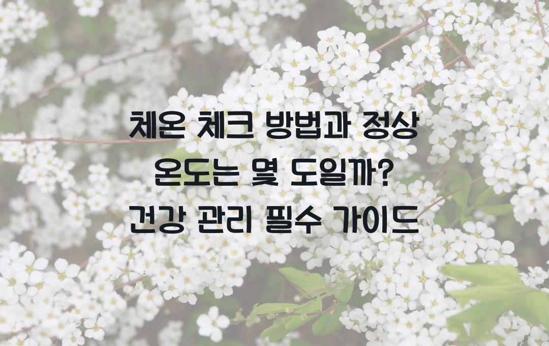 체온 체크 방법, 정상 온도는 몇 도일까?