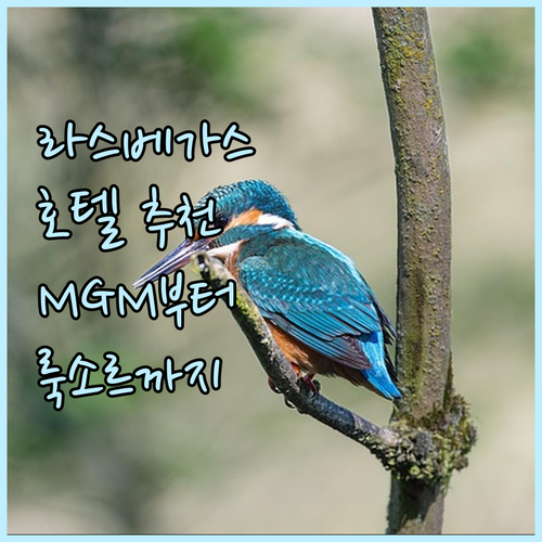 라스베이거스 호텔 추천 MGM 그랜드..