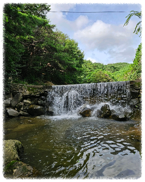 산수리계곡