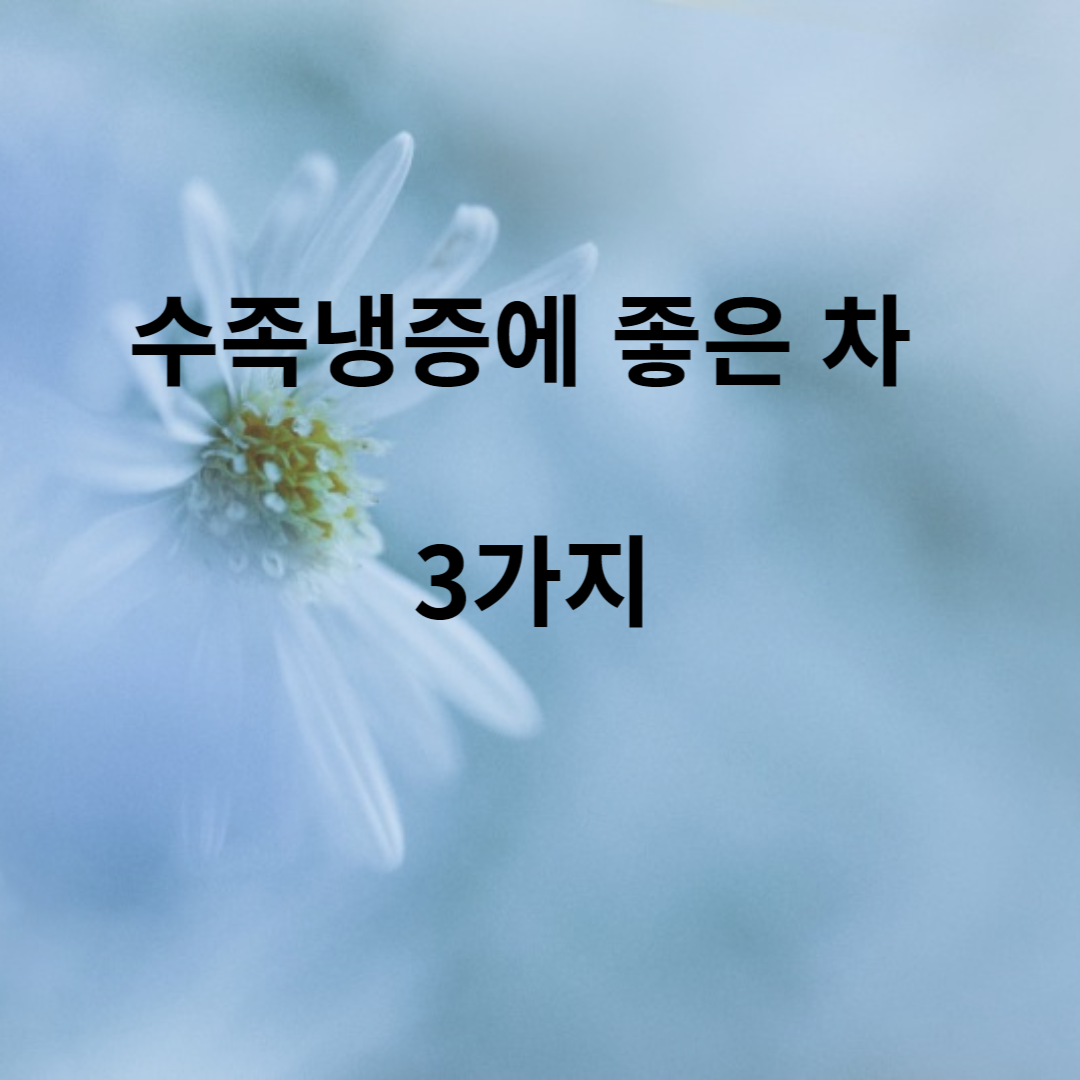 수족냉증에 좋은 차