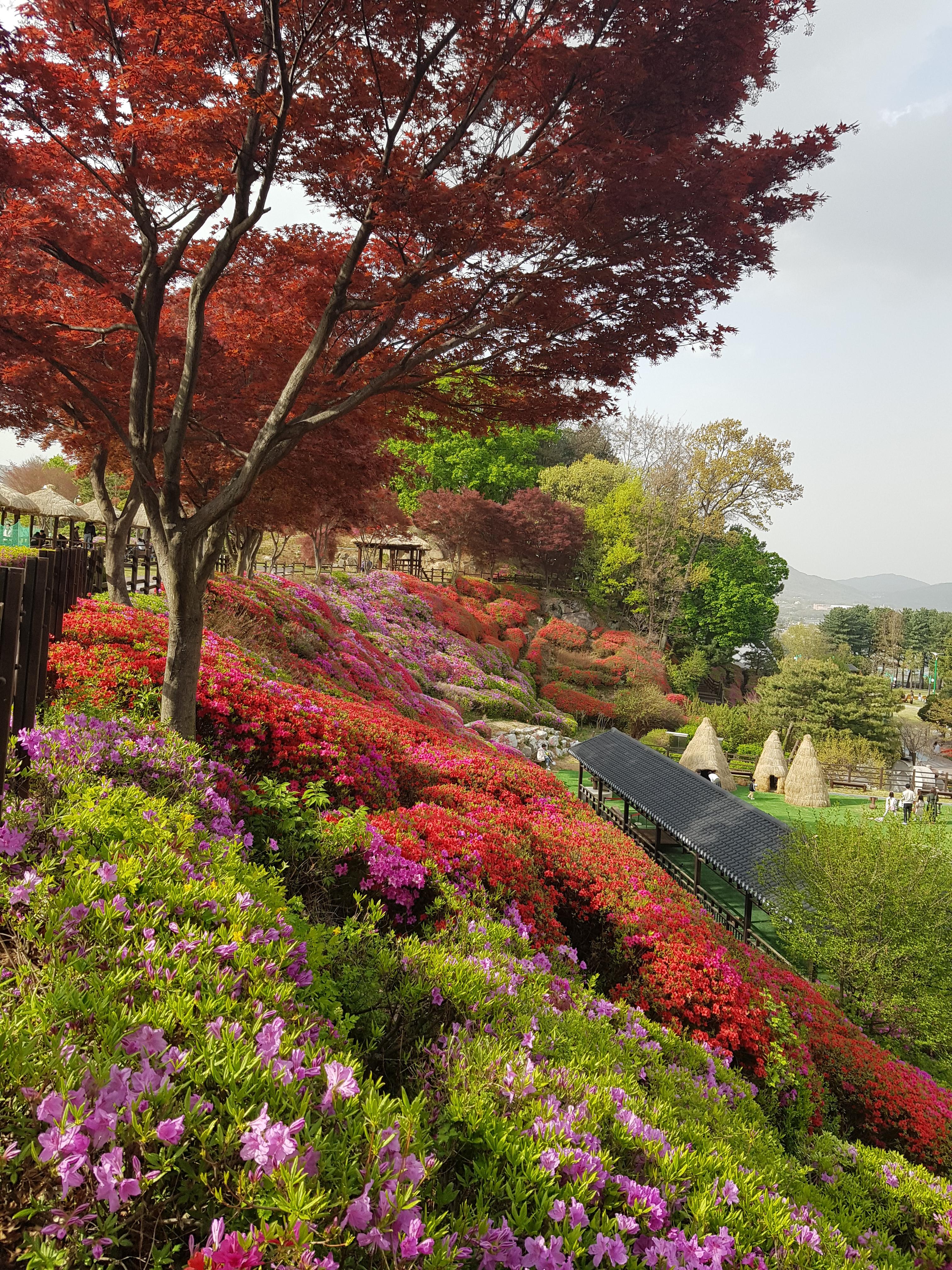 2026 수능 일정표