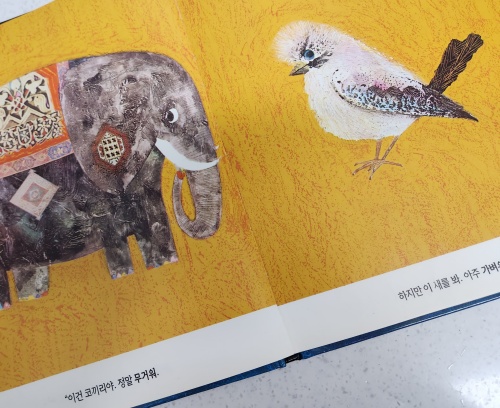 코끼리와 새