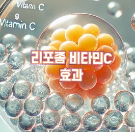 리포좀비타민C-효과-추천