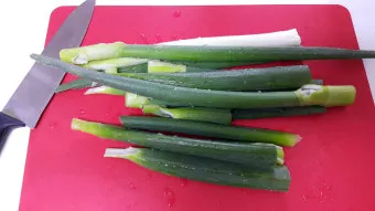 리크 재배 분주 심기 북주기 통풍 관리_2