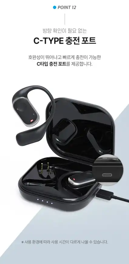 블라우풍트 무선 이어폰 - 찐 후기 (장단점 다 알려 드림!!!) - 100주년 에디션의 특별함