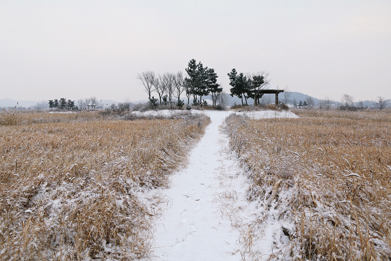 가을 억새&amp;#44; 단풍 산행지 추천
